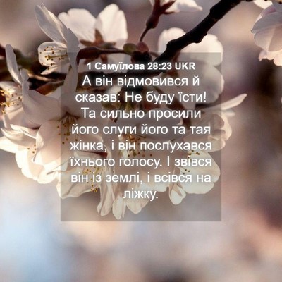 Picture 04 - 1 Самуїлова 28:23 UKR - А він відмовився й сказав: - Bible Verse Picture