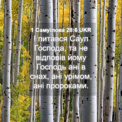 Picture 04 - 1 Самуїлова 28:6 UKR - І питався Саул Господа, та - Bible Verse Picture