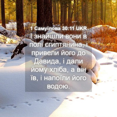 Picture 04 - 1 Самуїлова 30:11 UKR - І знайшли вони в полі - Bible Verse Picture