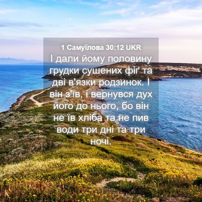 Picture 04 - 1 Самуїлова 30:12 UKR - І дали йому половину - Bible Verse Picture