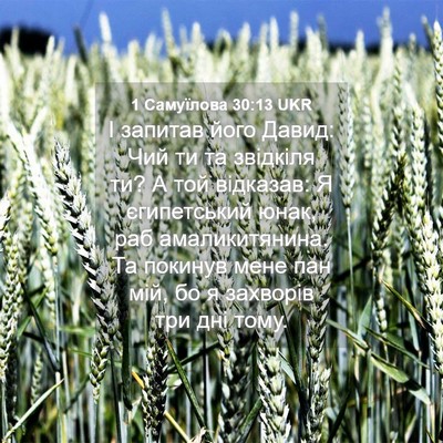Picture 04 - 1 Самуїлова 30:13 UKR - І запитав його Давид: Чий - Bible Verse Picture