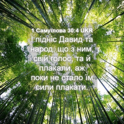 Picture 04 - 1 Самуїлова 30:4 UKR - І підніс Давид та народ, що - Bible Verse Picture