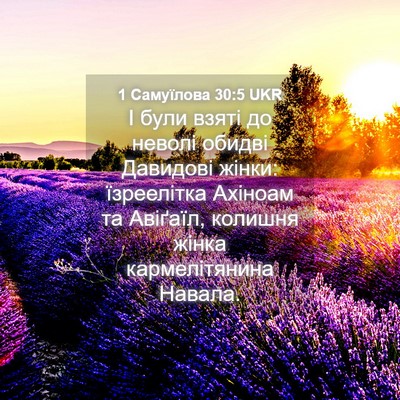 Picture 04 - 1 Самуїлова 30:5 UKR - І були взяті до неволі - Bible Verse Picture