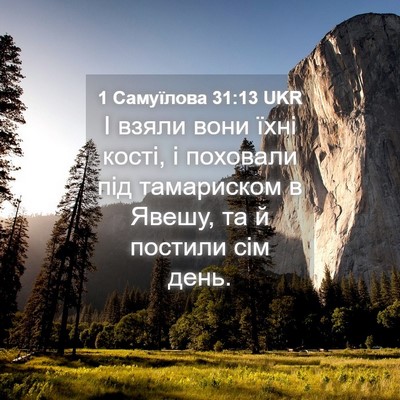 Picture 04 - 1 Самуїлова 31:13 UKR - І взяли вони їхні кості, і - Bible Verse Picture