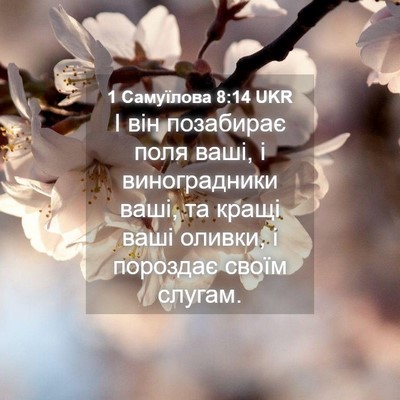 Picture 04 - 1 Самуїлова 8:14 UKR - І він позабирає поля ваші, - Bible Verse Picture