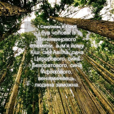 Picture 04 - 1 Самуїлова 9:1 UKR - І був чоловік із - Bible Verse Picture