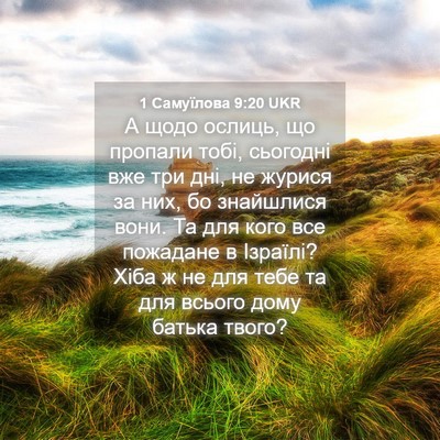 Picture 04 - 1 Самуїлова 9:20 UKR - А щодо ослиць, що пропали - Bible Verse Picture