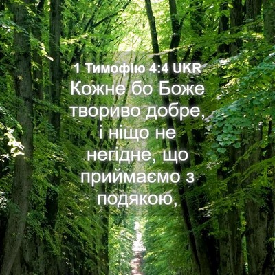 Picture 04 - 1 Тимофію 4:4 UKR - Кожне бо Боже твориво - Bible Verse Picture