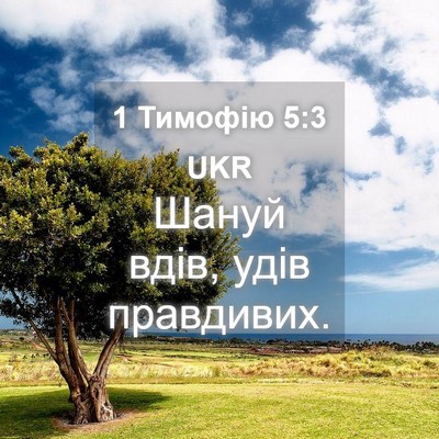 Picture 04 - 1 Тимофію 5:3 UKR - Шануй вдів, удів - Bible Verse Picture