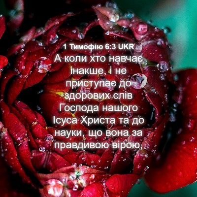 Picture 04 - 1 Тимофію 6:3 UKR - А коли хто навчає інакше, і - Bible Verse Picture