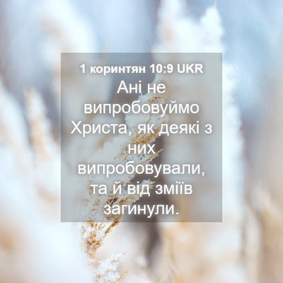 Picture 04 - 1 коринтян 10:9 UKR - Ані не випробовуймо - Bible Verse Picture