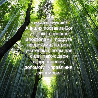 Picture 04 - 1 коринтян 12:28 UKR - А інших поставив Бог у - Bible Verse Picture