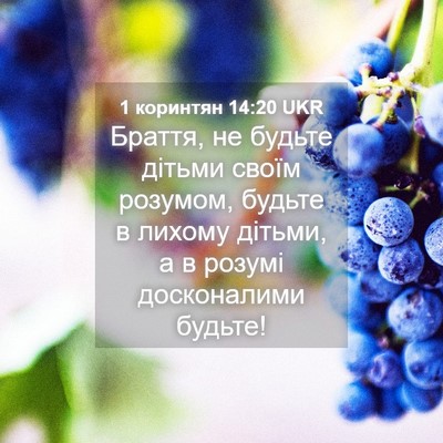 Picture 04 - 1 коринтян 14:20 UKR - Браття, не будьте дітьми - Bible Verse Picture