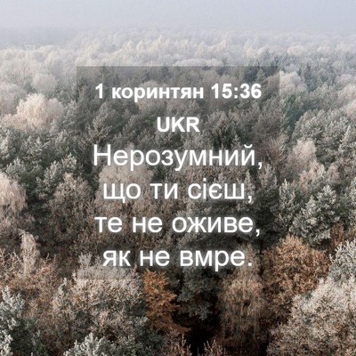 Picture 04 - 1 коринтян 15:36 UKR - Нерозумний, що ти сієш, те - Bible Verse Picture