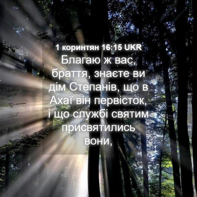 Picture 04 - 1 коринтян 16:15 UKR - Благаю ж вас, браття, - Bible Verse Picture