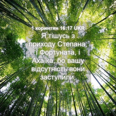 Picture 04 - 1 коринтян 16:17 UKR - Я тішусь з приходу Степана, - Bible Verse Picture