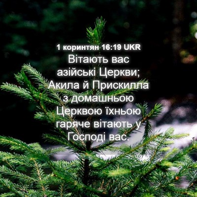 Picture 04 - 1 коринтян 16:19 UKR - Вітають вас азійські - Bible Verse Picture