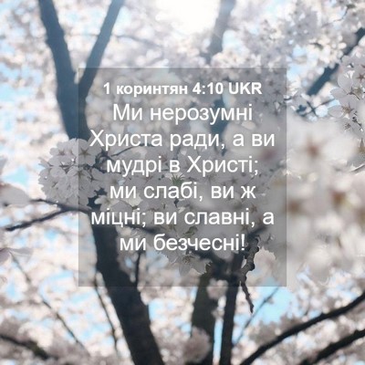 Picture 04 - 1 коринтян 4:10 UKR - Ми нерозумні Христа ради, а - Bible Verse Picture