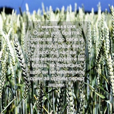Picture 04 - 1 коринтян 4:6 UKR - Оце ж усе, браття, приклав я - Bible Verse Picture
