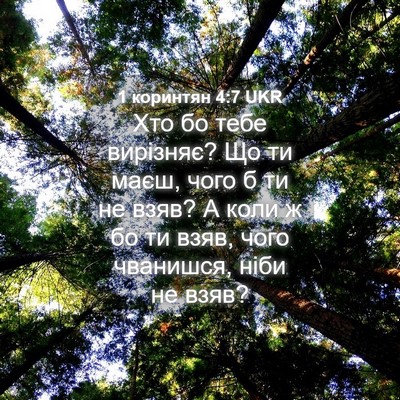 Picture 04 - 1 коринтян 4:7 UKR - Хто бо тебе вирізняє? Що ти - Bible Verse Picture