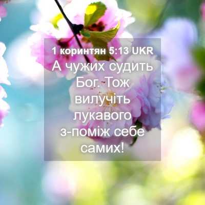 Picture 04 - 1 коринтян 5:13 UKR - А чужих судить Бог. Тож - Bible Verse Picture