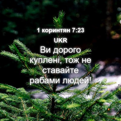Picture 04 - 1 коринтян 7:23 UKR - Ви дорого куплені, тож не - Bible Verse Picture