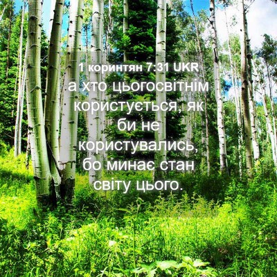 Picture 04 - 1 коринтян 7:31 UKR - а хто цьогосвітнім - Bible Verse Picture