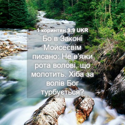 Picture 04 - 1 коринтян 9:9 UKR - Бо в Законі Мойсеєвім - Bible Verse Picture