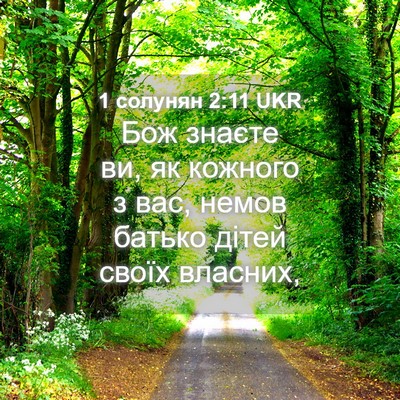 Picture 04 - 1 солунян 2:11 UKR - Бож знаєте ви, як кожного з - Bible Verse Picture