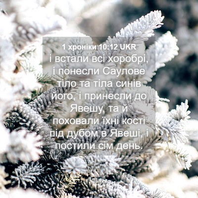 Picture 04 - 1 хроніки 10:12 UKR - і встали всі хоробрі, і - Bible Verse Picture