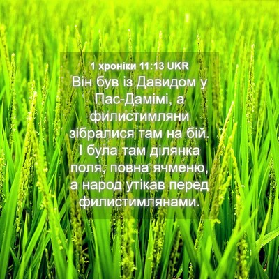 Picture 04 - 1 хроніки 11:13 UKR - Він був із Давидом у - Bible Verse Picture