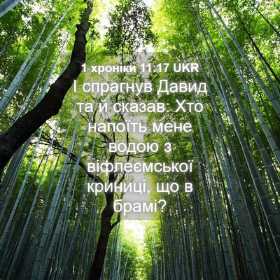 Picture 04 - 1 хроніки 11:17 UKR - І спрагнув Давид та й - Bible Verse Picture