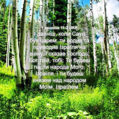 Picture 04 - 1 хроніки 11:2 UKR - І давніш, коли Саул був - Bible Verse Picture