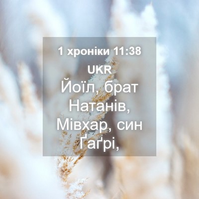 Picture 04 - 1 хроніки 11:38 UKR - Йоїл, брат Натанів, Мівхар, - Bible Verse Picture