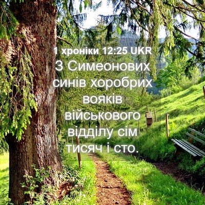 Picture 04 - 1 хроніки 12:25 UKR - З Симеонових синів - Bible Verse Picture