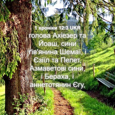 Picture 04 - 1 хроніки 12:3 UKR - голова Ахіезер та Йоаш, - Bible Verse Picture