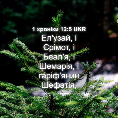 Picture 04 - 1 хроніки 12:5 UKR - Ел'узай, і Єрімот, і Беал'я, - Bible Verse Picture