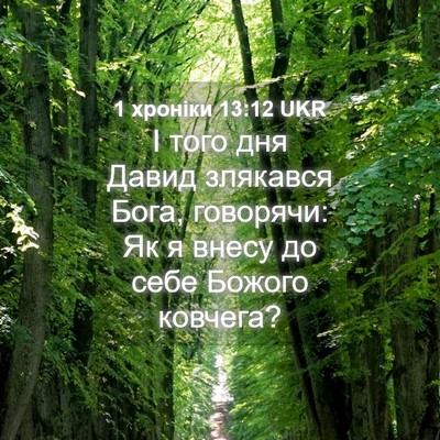 Picture 04 - 1 хроніки 13:12 UKR - І того дня Давид злякався - Bible Verse Picture
