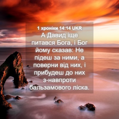 Picture 04 - 1 хроніки 14:14 UKR - А Давид іще питався Бога, і - Bible Verse Picture