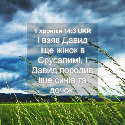 Picture 04 - 1 хроніки 14:3 UKR - І взяв Давид іще жінок в - Bible Verse Picture