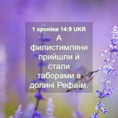 Picture 04 - 1 хроніки 14:9 UKR - А филистимляни прийшли й - Bible Verse Picture