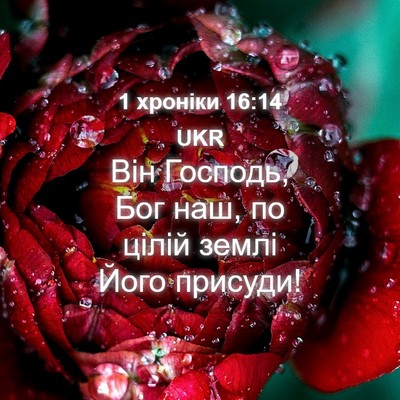 Picture 04 - 1 хроніки 16:14 UKR - Він Господь, Бог наш, по - Bible Verse Picture