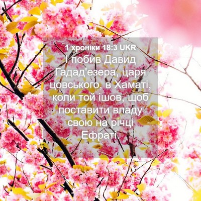 Picture 04 - 1 хроніки 18:3 UKR - І побив Давид Гадад'езера, - Bible Verse Picture