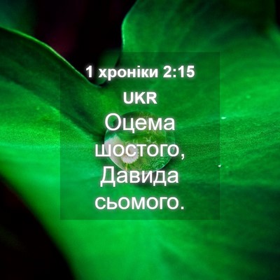 Picture 04 - 1 хроніки 2:15 UKR - Оцема шостого, Давида - Bible Verse Picture