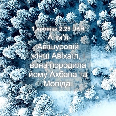 Picture 04 - 1 хроніки 2:29 UKR - А ім'я Авішуровій жінці - Bible Verse Picture