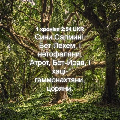Picture 04 - 1 хроніки 2:54 UKR - Сини Салмині: Бет-Лехем, і - Bible Verse Picture