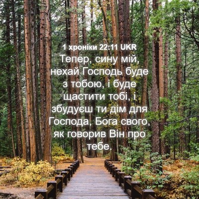 Picture 04 - 1 хроніки 22:11 UKR - Тепер, сину мій, нехай - Bible Verse Picture