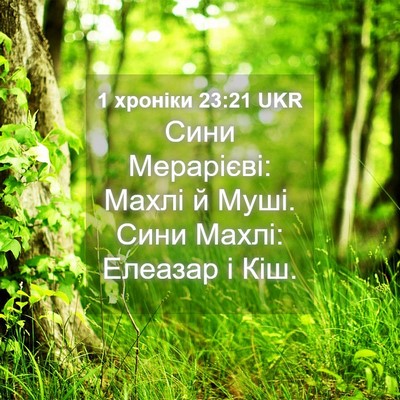 Picture 04 - 1 хроніки 23:21 UKR - Сини Мерарієві: Махлі й - Bible Verse Picture