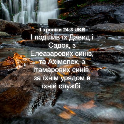 Picture 04 - 1 хроніки 24:3 UKR - І поділив їх Давид і Садок, - Bible Verse Picture
