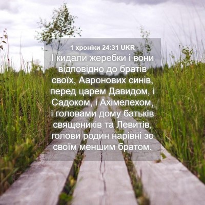 Picture 04 - 1 хроніки 24:31 UKR - І кидали жеребки і вони - Bible Verse Picture